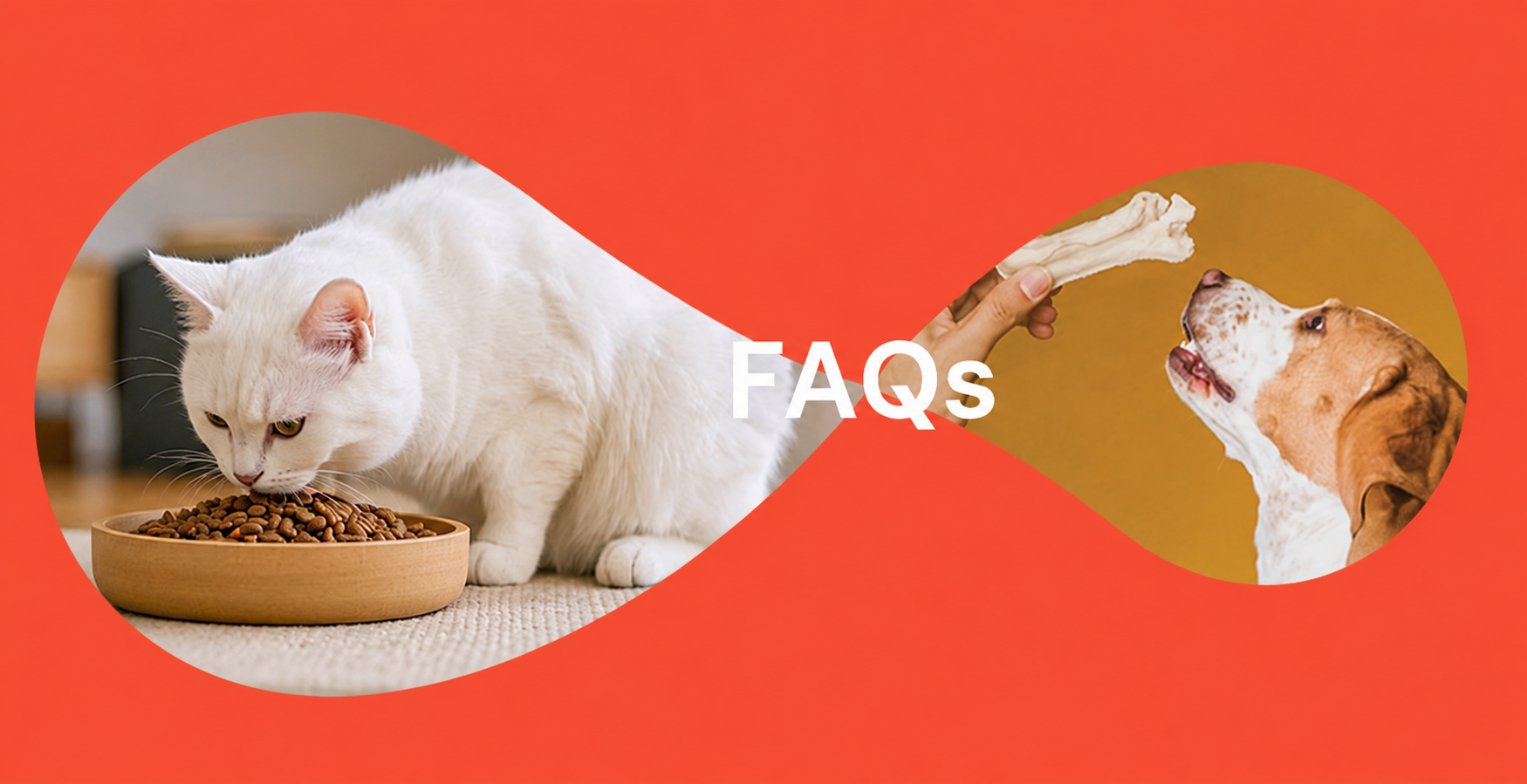 FAQ sur la nourriture pour animaux de compagnie