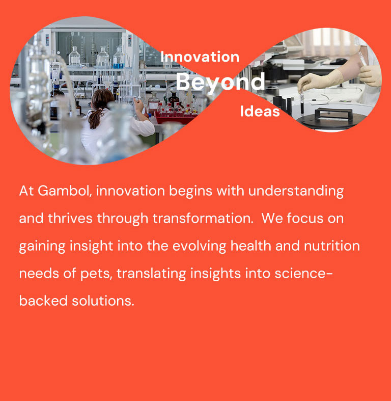 <p>Gambol R&D Alimentation Animale</p>