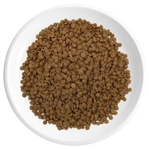 Croquettes pour chat saveur poulet et dinde