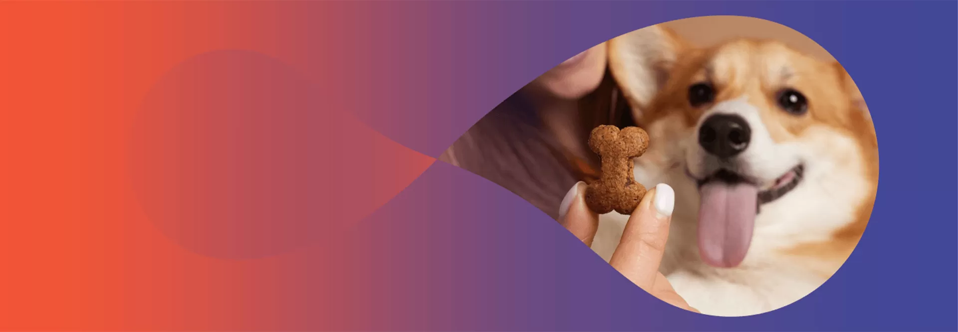 Des friandises à mâcher innovantes pour un bien-être bucco-dentaire complet