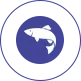 Poissons des profondeurs