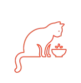 Innovation avancée en matière d'appétence et de texture