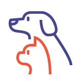 Recherche approfondie sur la physiologie féline